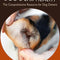 The Dog Ear Health Guide Ebook